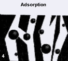 Adsorption mechanism